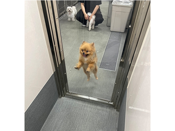 J~Ƃ̂Úc